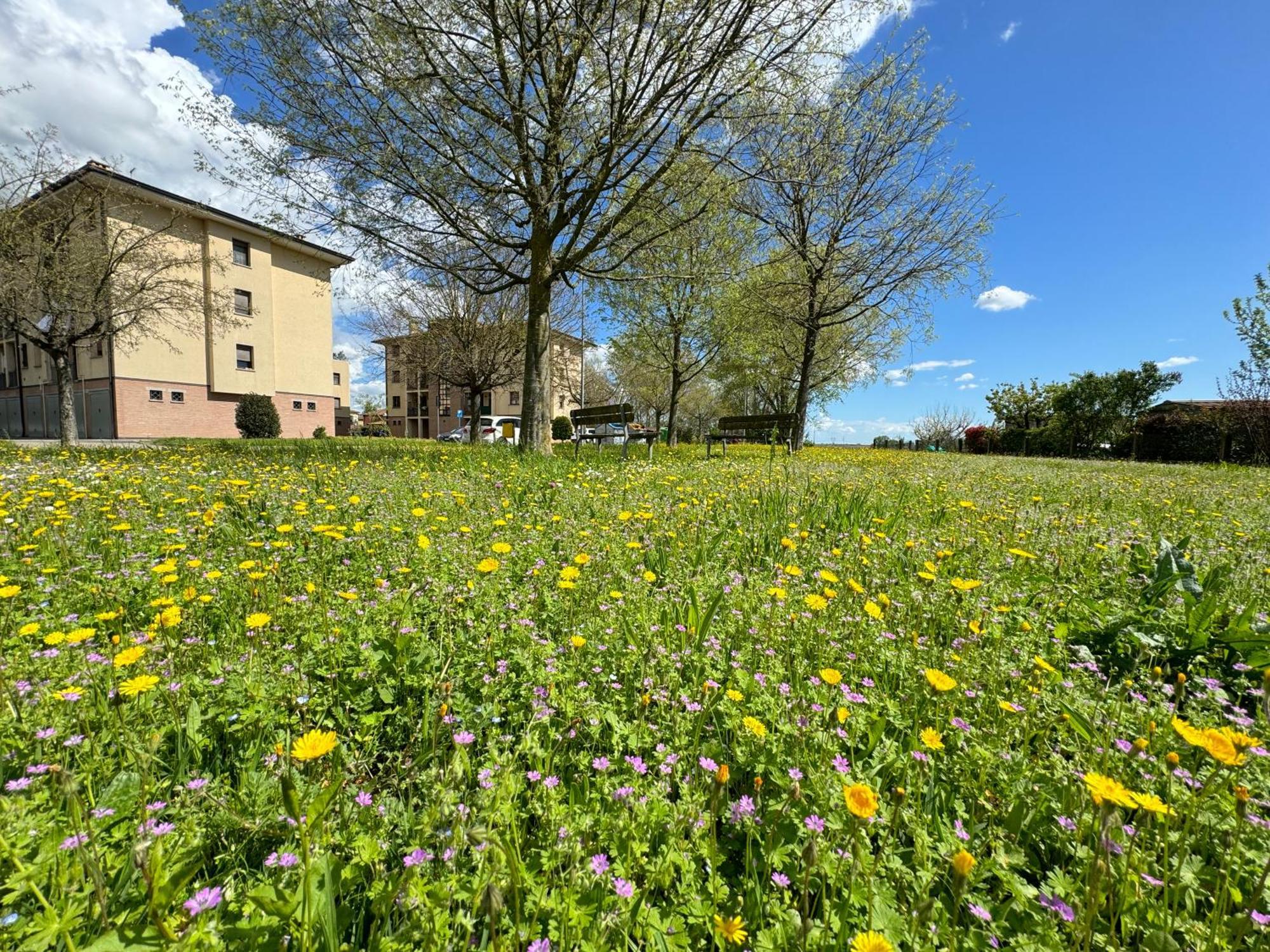 Nel Cuore Della Natura - Parcheggio Gratuito - Wi-Fi Lägenhet Mezzolara Exteriör bild